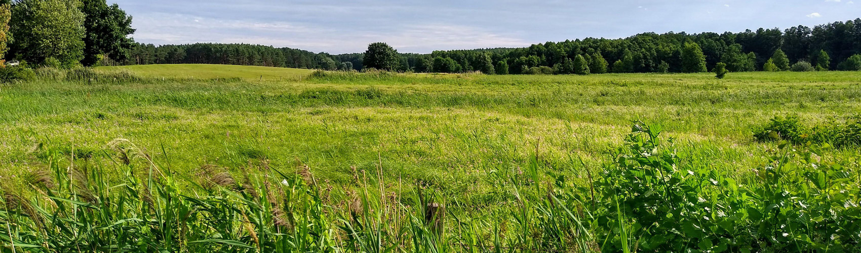Urlaub in der Region Fürstenberg an der Havel - Oberhavel in Norden Brandenburgs - Hotel & Restaurant Zur Alten Bornmühle - www.hotelaltebornmuehle.de